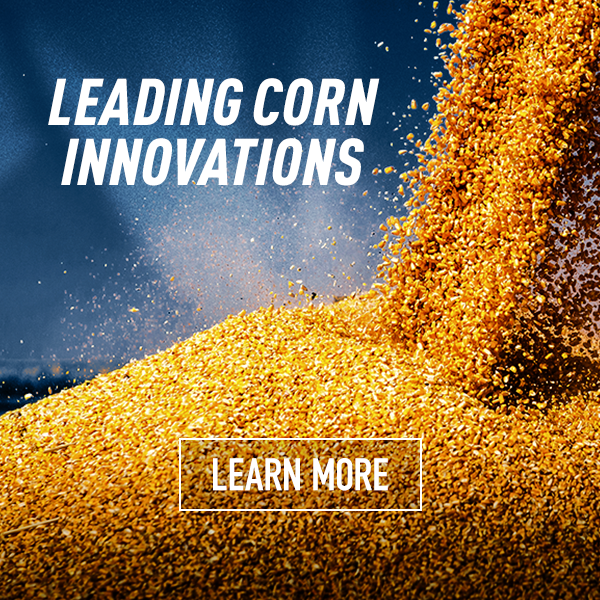 Leading Corn Innovations Graphic